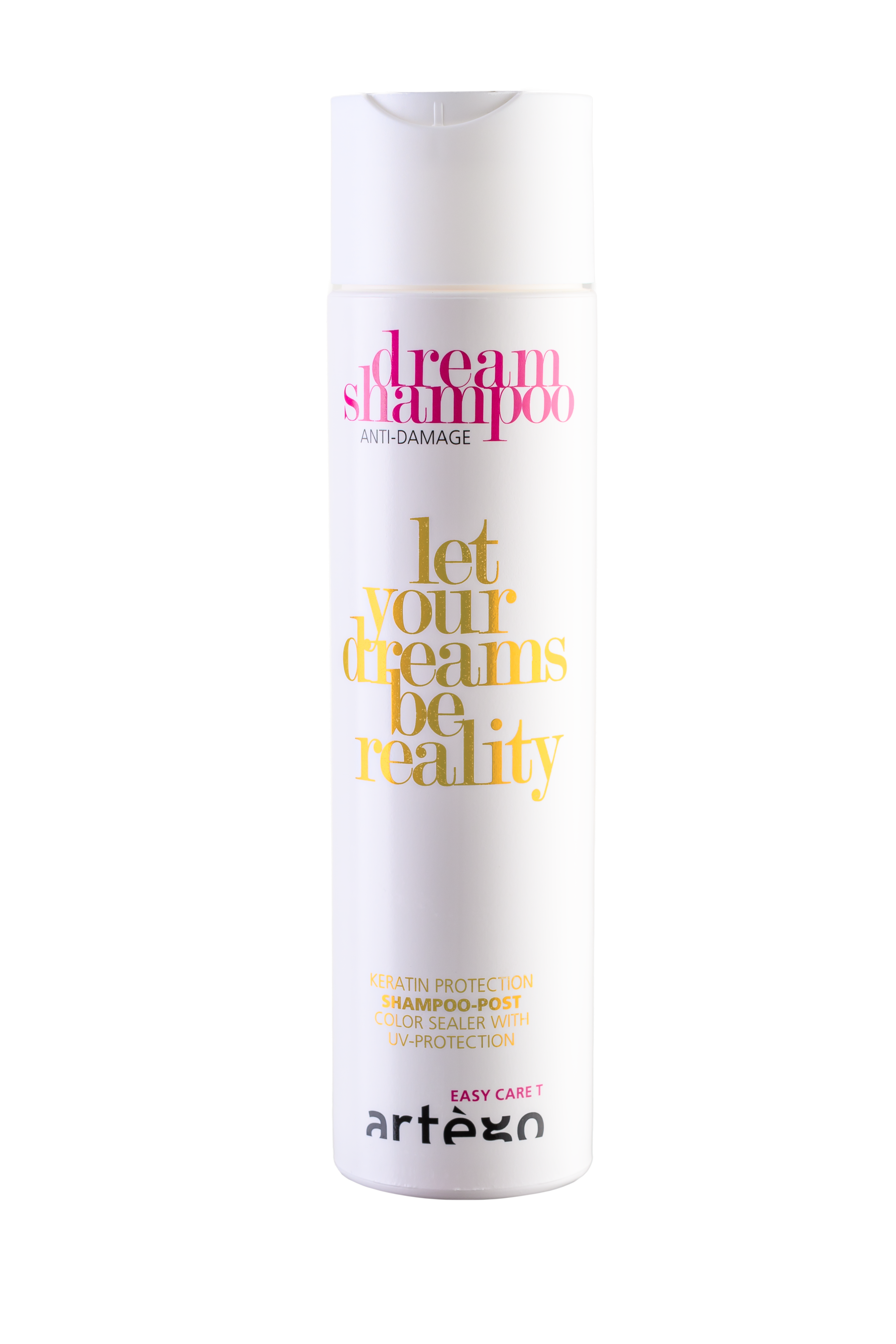 DREAM SHAMPOO POST